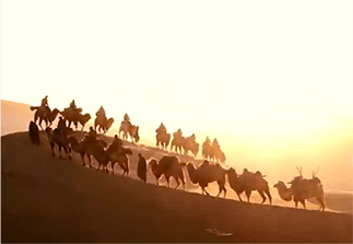 ”一带一路“之ga黄金甲集团