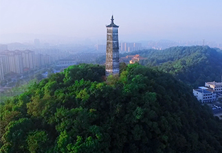 ga黄金甲创业48周年·重走创业路